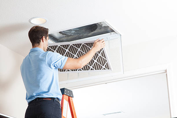 Best HVAC air duct cleaning  in Hillandale, MD